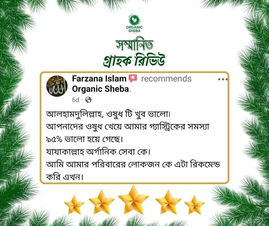 রিভিউ ১